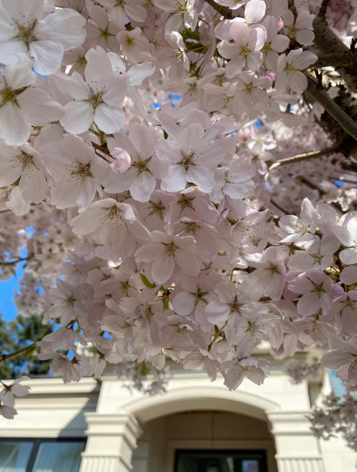 Vancouver Shangrila House ริชมอนด์ ภายนอก รูปภาพ